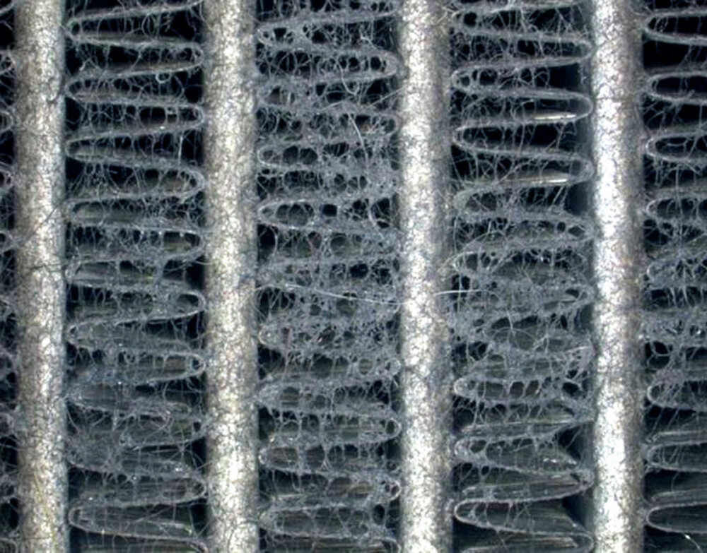 Videoscope with cleaning function